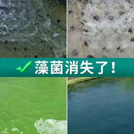 中浩遠(yuǎn)達(dá)|殺菌劑對循環(huán)冷卻水常見微生物處理